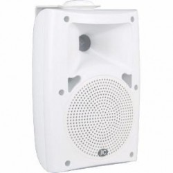 The High-end Outdoor Radio Speaker